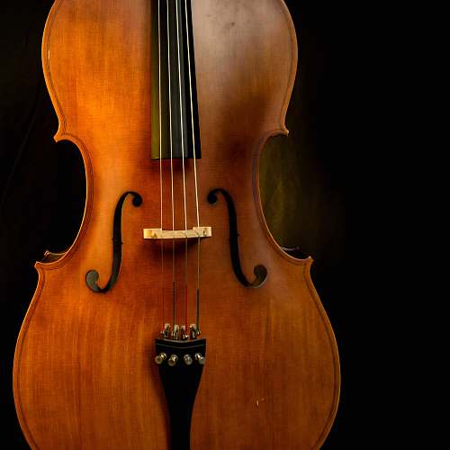 leisure activities brown violin cello